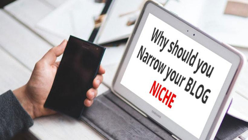 Niche blogs are popular and answer your questions